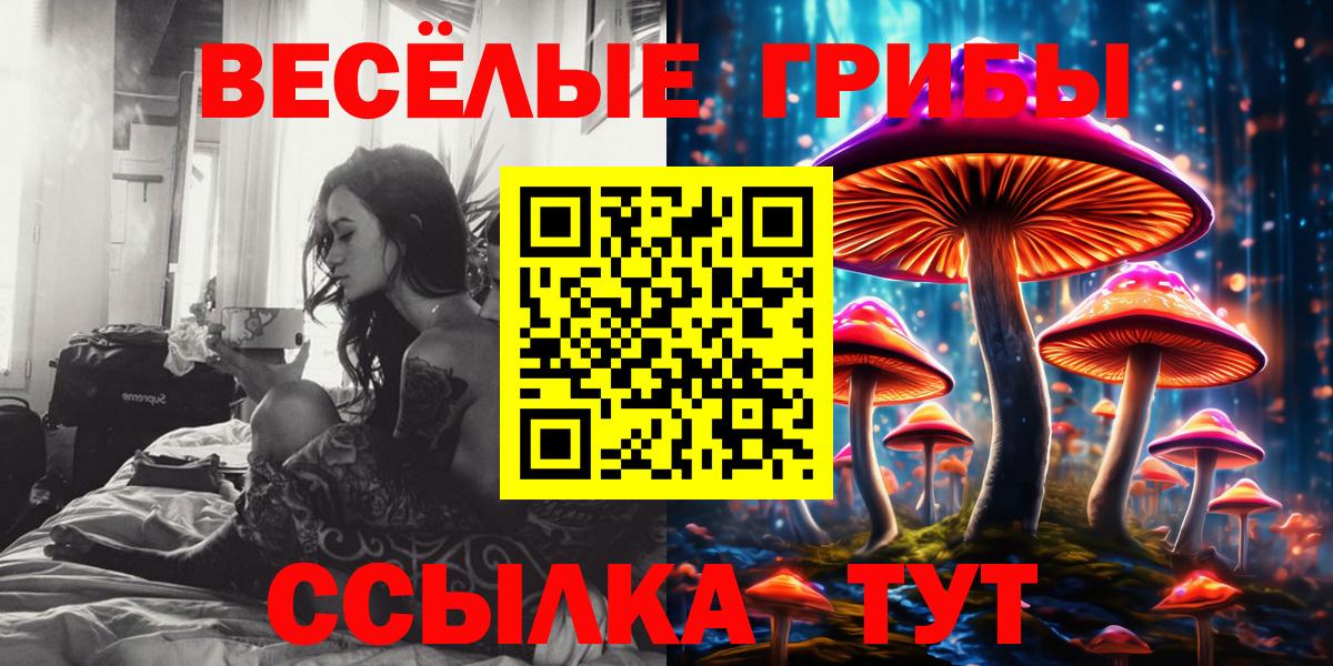 Рославль  Галлюциногенные грибы Psilocybe  Вход с VPN 