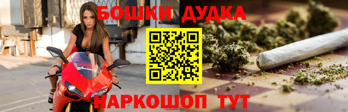 Каннабис OG Kush Рославль